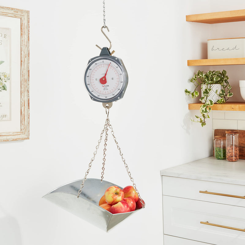 [Australia - AusPower] - Taylor Scale Scoop/Chain With Hanging Cradle, Steel, 20 lb 17 in W x 13 in L x 3 in H,Silver 
