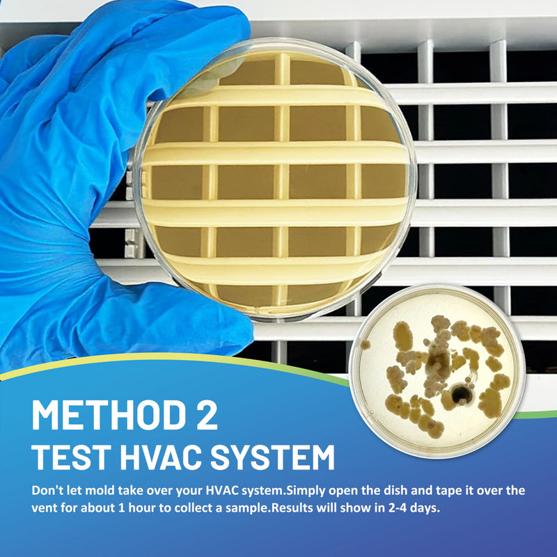 [Australia - AusPower] - Mold Test Kit for Home,7 Simple Detection Tests,Test HVAC System,Home Surfaces, Indoor Air Quality Testing,DIY Mold Detector for Home,Includes Detailed Mold Identification Guide,Black Mold Testing kit 7 