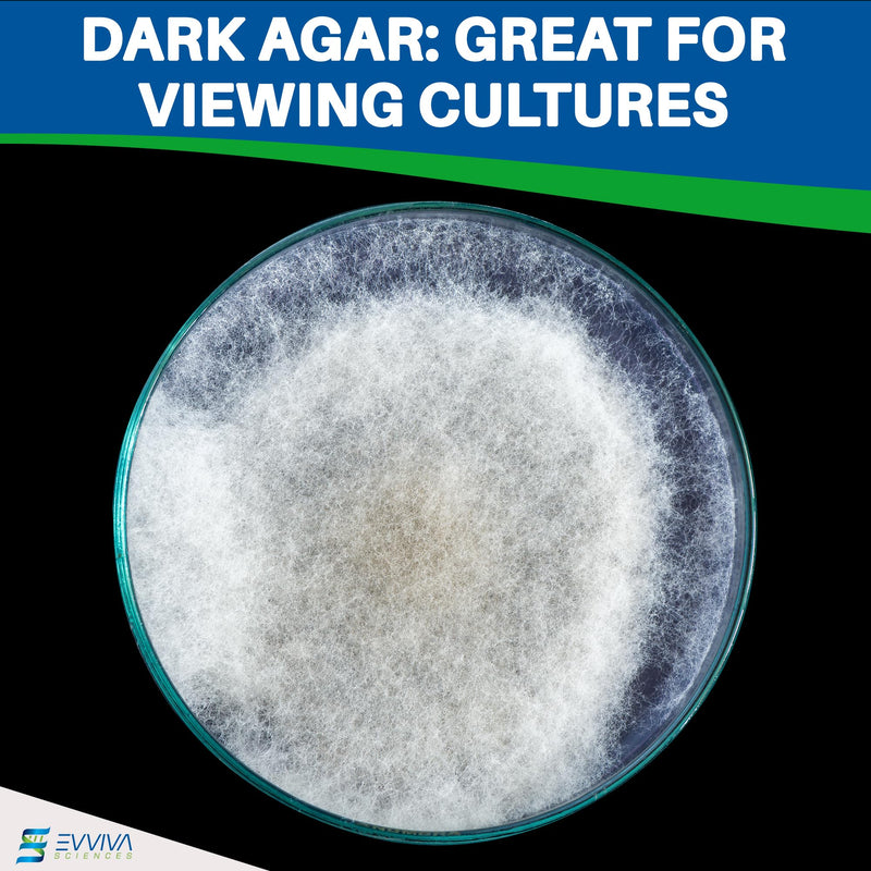 ES EVVIVA SCIENCES Pre-Poured Black Malt Extract Agar Plates – Includes Both Black Dye & Charcoal for Enhanced Culture Visualization - Excellent Growth Medium - Great for Mushrooms & Science Projects