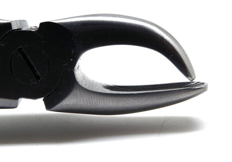 [Australia - AusPower] - Dental Tartar Forcep 4.5" Calculus Remover Tooth Scraper Veterinary Instrument 