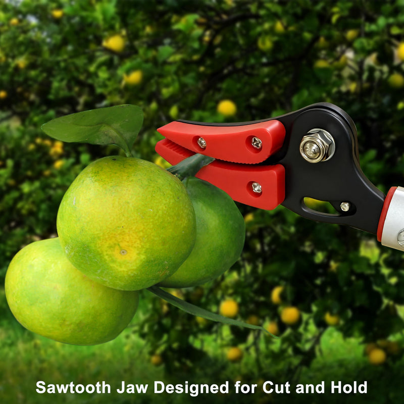 Tree Pruner, 4 FT Long Reach Pruner with SK5 Steel Blade, Aluminum Pole Tree Trimmer, Fruit Picking Tool, Cut and Hold, Bypass Pruner