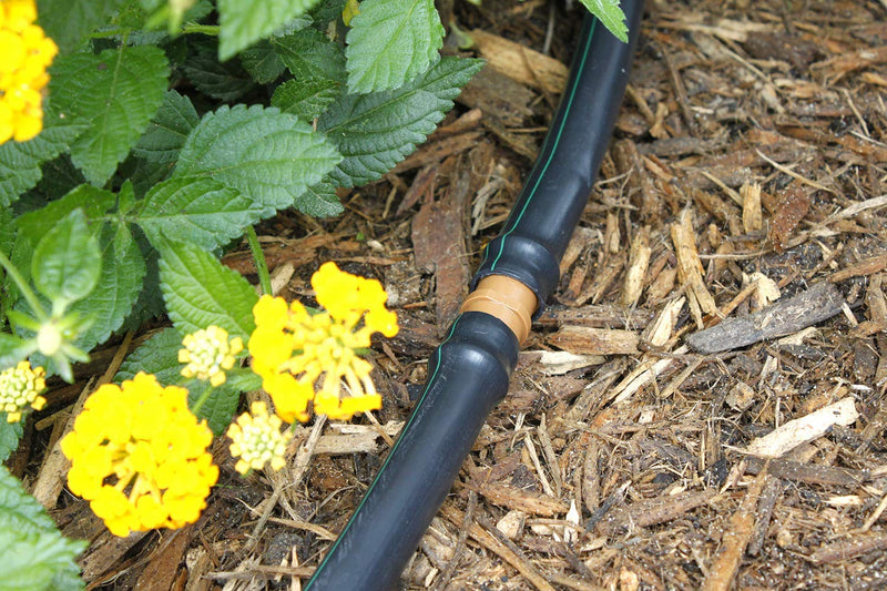 [Australia - AusPower] - 1/2" Coupling Drip Irrigation Fittings (12 Pack) - Barbed Drip Line Coupler Connectors compatible with Rain Bird and Most 1/2" Tubing or Sprinkler Systems 