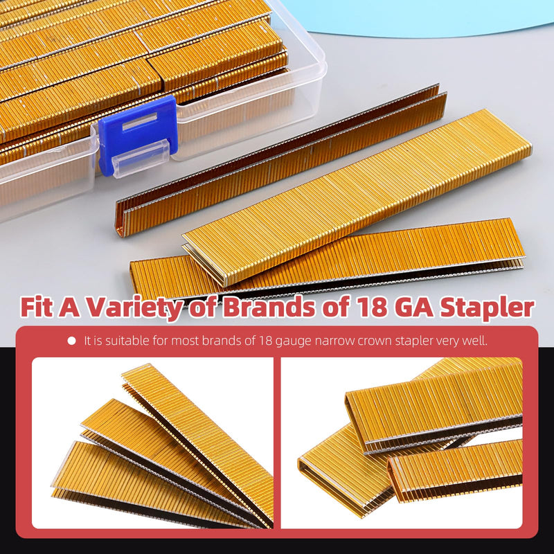 [Australia - AusPower] - Hilitchi 2000Pcs 1/2 Inch 18 Gauge Narrow Crown Staples, Gold Brad Nails Gun Nails 18 Gauge Galvanized Finish Staples with Storage Case 