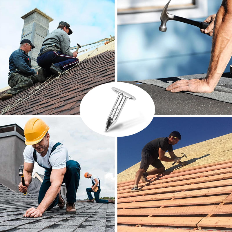 [Australia - AusPower] - 1000 Pcs Steel Roofing Felt Nails, 1/2 Inch Roofing Felt Pins, Flat Head Furniture Nails, Broad Head Pins for Shed Roof Roofing Felt Slate Boards 