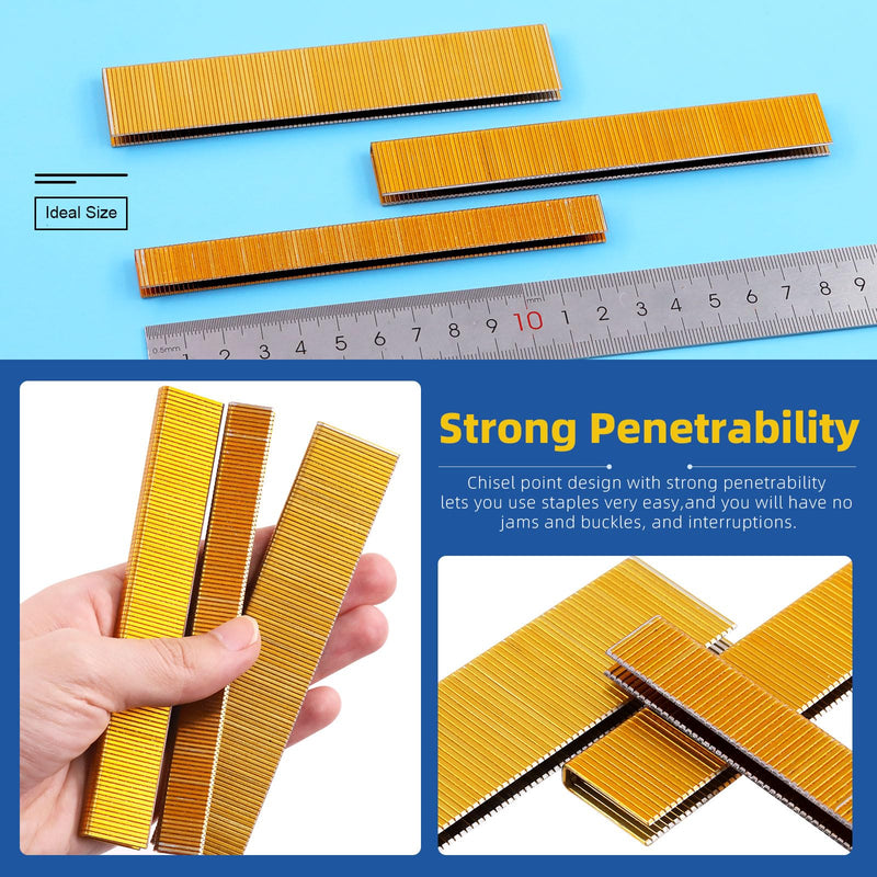 [Australia - AusPower] - Glarks 2000Pcs 18 Gauge Narrow Crown Staples, 1 Inch Galvanized Crown Narrow Staples Assortment Kit for Electric Stapler, Pneumatic, DIY Home Improvement (Gold) k425 