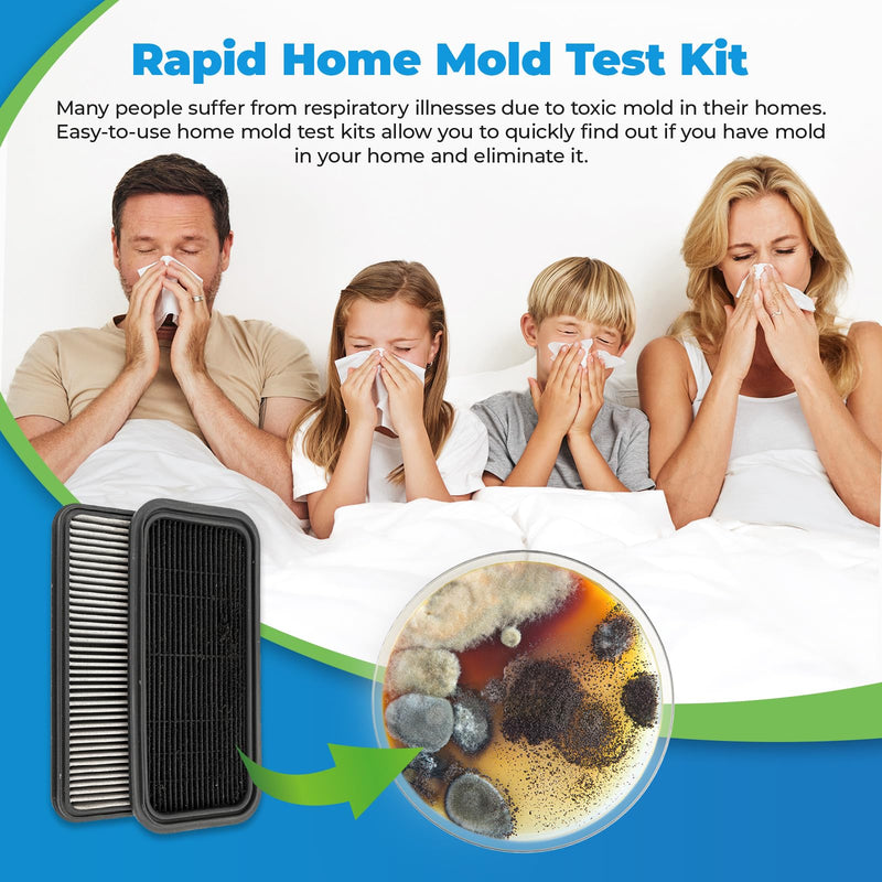 [Australia - AusPower] - Mold Test Kit for Home - 6 PCS DIY Mold Detector with Detailed Identification Guide, Perfect for Air Quality Tester & Black Mold Testing Kit in HVAC Systems & Home Surfaces 