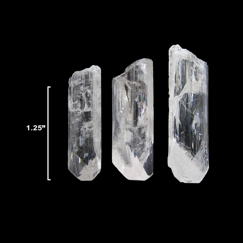Starborn Natural Danburite Crystals Loose Danburite L