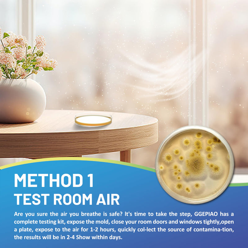 [Australia - AusPower] - Mold Test Kit for Home,7 Simple Detection Tests,Test HVAC System,Home Surfaces, Indoor Air Quality Testing,DIY Mold Detector for Home,Includes Detailed Mold Identification Guide,Black Mold Testing kit 7 