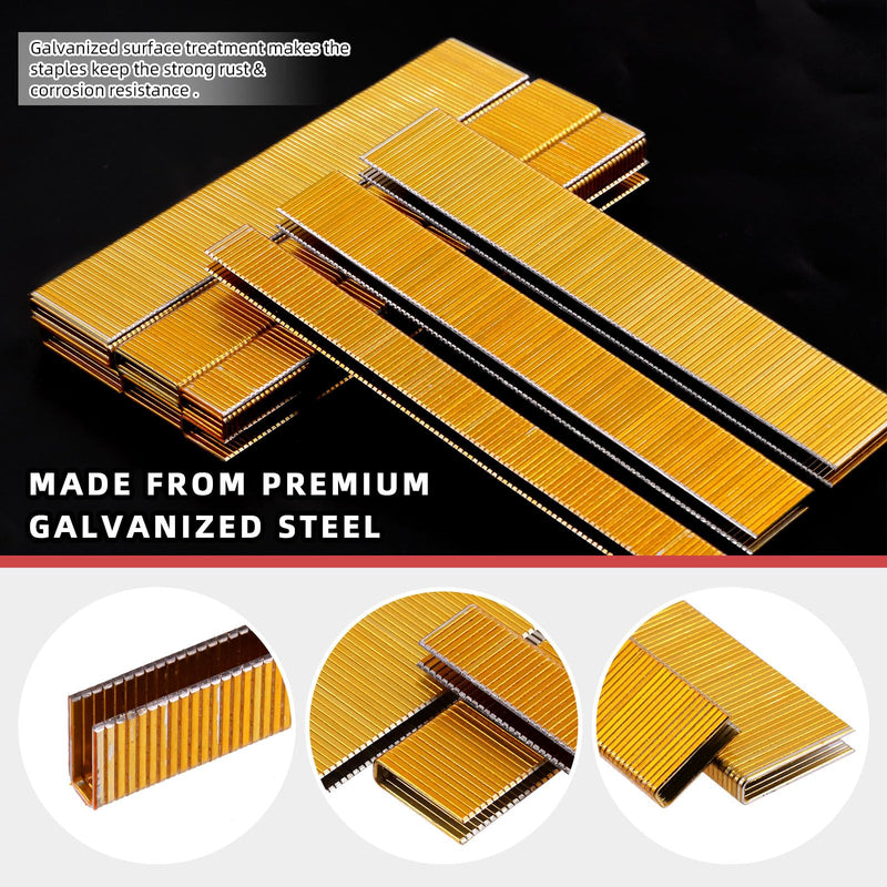 [Australia - AusPower] - Hilitchi 2000Pcs 1/2 Inch 18 Gauge Narrow Crown Staples, Gold Brad Nails Gun Nails 18 Gauge Galvanized Finish Staples with Storage Case 