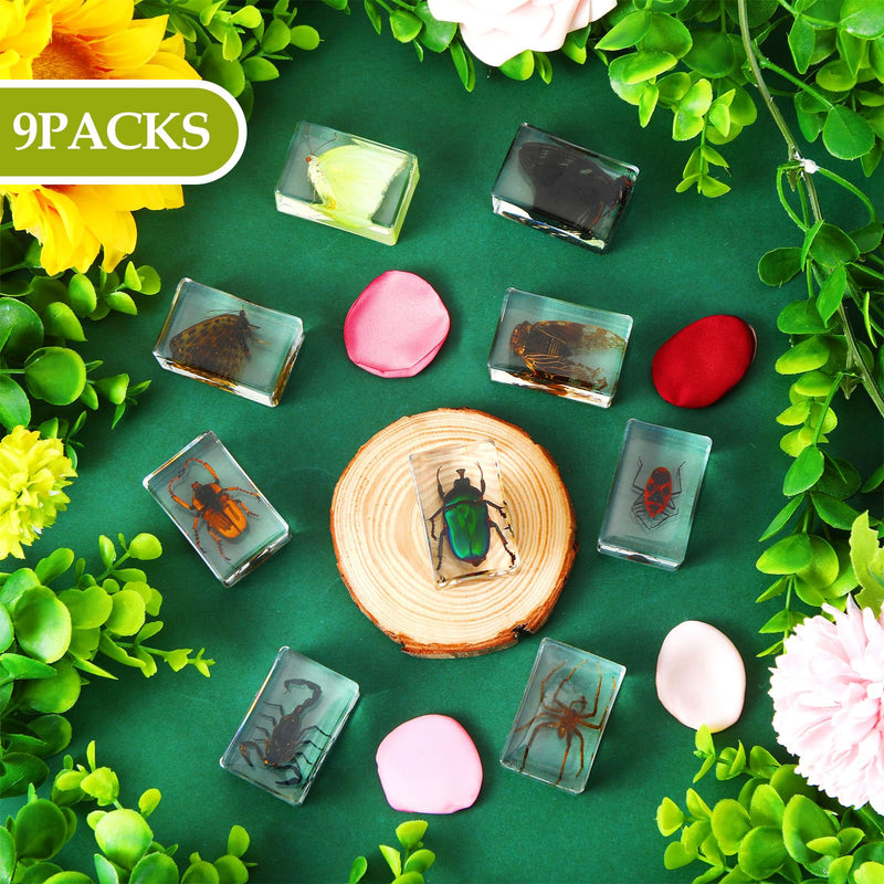 [Australia - AusPower] - 9 Pcs Insect in Resin Specimen Bugs Collection Paperweights Arachnid Butterfly Bug Toys Different Real Bugs in Resin Educational Science Classroom Specimens Display Supplies, 9 Styles 