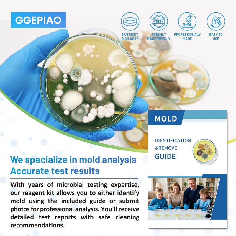 [Australia - AusPower] - Mold Test Kit for Home,7 Simple Detection Tests,Test HVAC System,Home Surfaces, Indoor Air Quality Testing,DIY Mold Detector for Home,Includes Detailed Mold Identification Guide,Black Mold Testing kit 7 