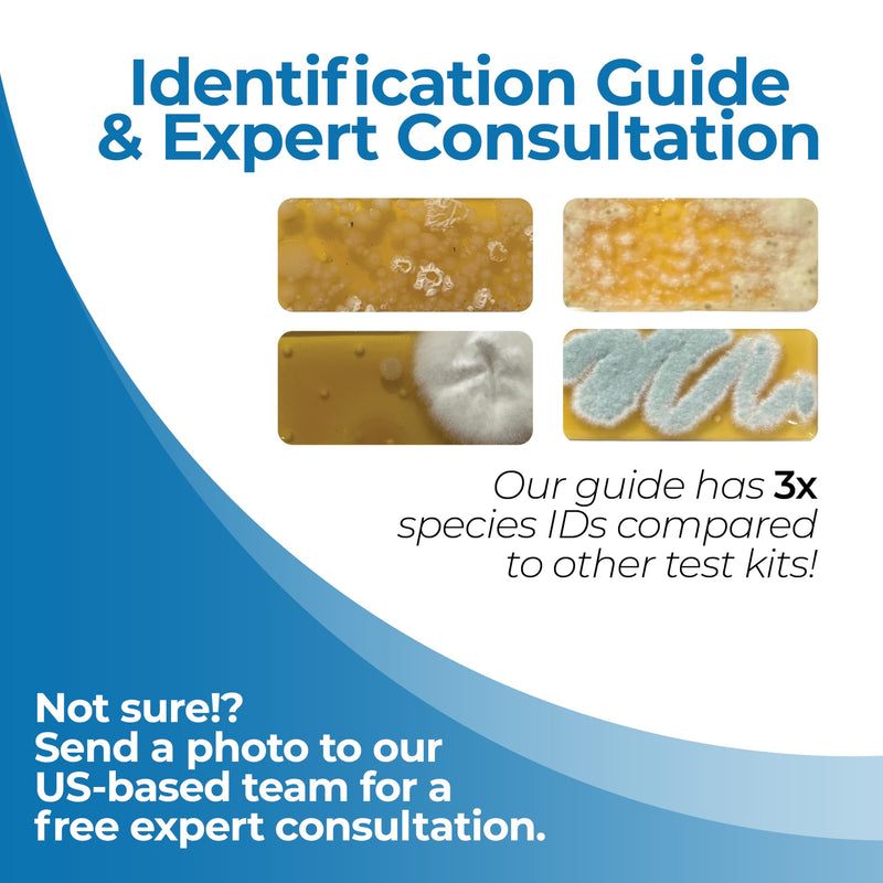 Mold Test Kit for Home by Detekt - with 4 Mold Detection + 4 Bacteria Detection Tests for HVAC, Surfaces, & Indoor Air Quality - DIY Kit inlcudes Detailed Identification Guide & Free Consultation