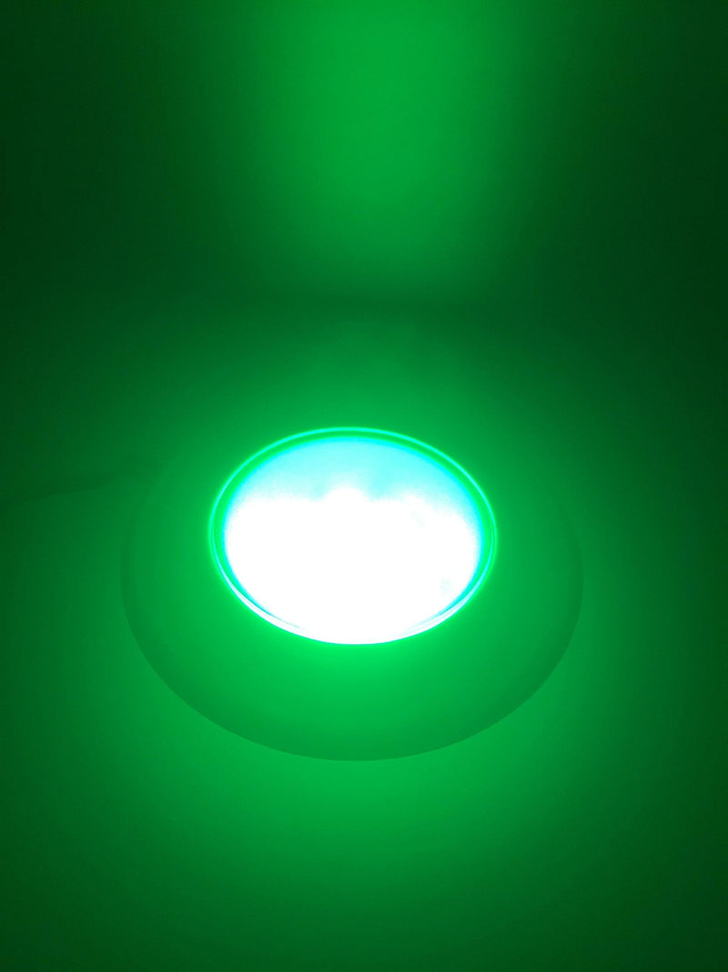 Pactrade Marine RV Boat Pontoon Red Green Blue White LED Courtesy Ceiling Light White Plastic Housing Glare Free Illumination Lens Energy Saving12V DC (Surface/Flush Mount) Surface / Flush Mount