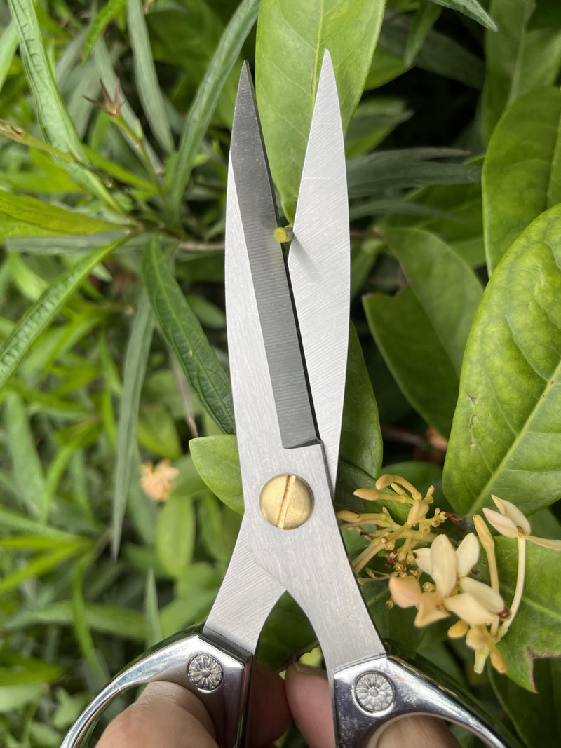Indoor Plant Shears Garden Scissors, Flower Pruners Made of Japan SK5 Stainless Steel, Flowers Herbs and Plant Cutters, Clippers, Trimmers, Loppers, Bonsai Potted Plant Pruning Scissors silvery-k82