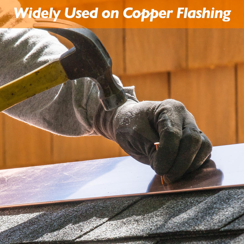 [Australia - AusPower] - Copper Nails – 1 Inch Roofing Nails 110pcs – 99.95% Pure Copper Nails for Roof, Copper Flashing, Tree, Stump Remover, Roots, Landscaping & Crafts 1" Copper Nails, 110pcs 