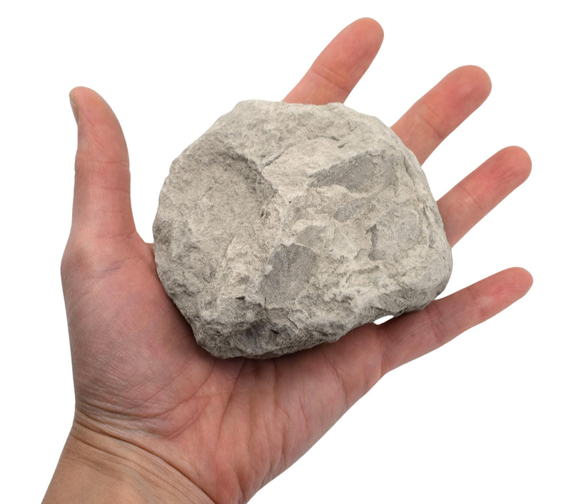 [Australia - AusPower] - EISCO Raw Limestone Chalk, Sedimentary Rock Specimen - Hand Sample - Approx. 3" - Geologist Selected & Hand Processed - Great for Science Classrooms 