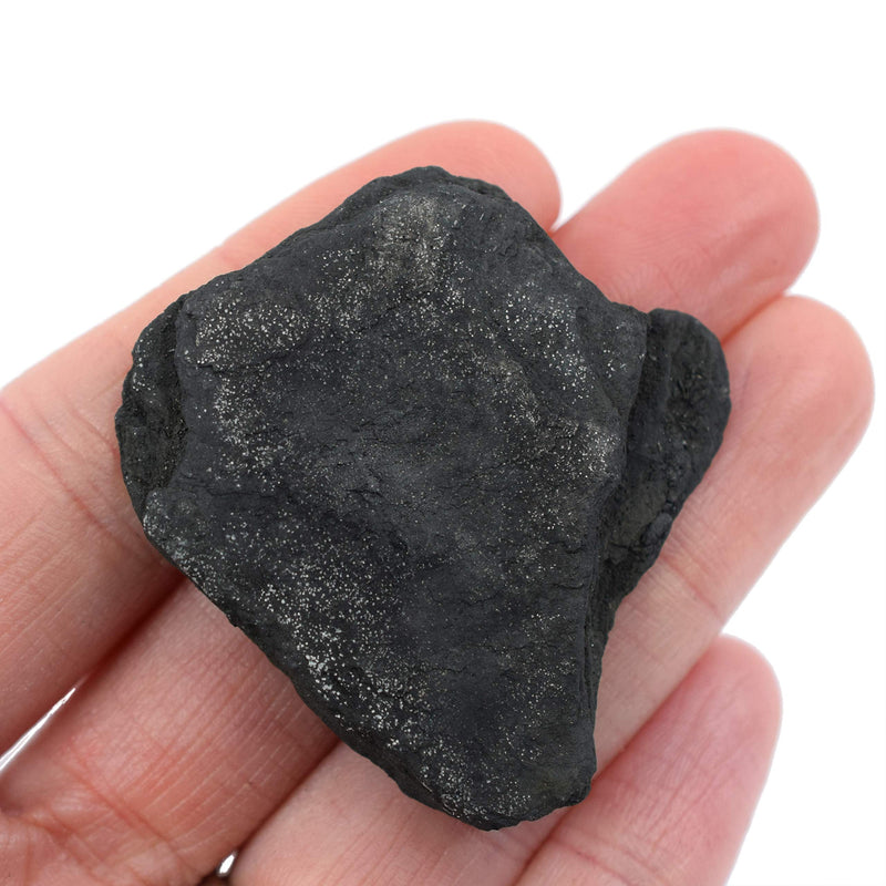 [Australia - AusPower] - EISCO 6PK Raw Anthracite Coal, Metamorphic Rock Specimens - Approx. 1" - Geologist Selected & Hand Processed - Great for Science Classrooms - Class Pack 6 
