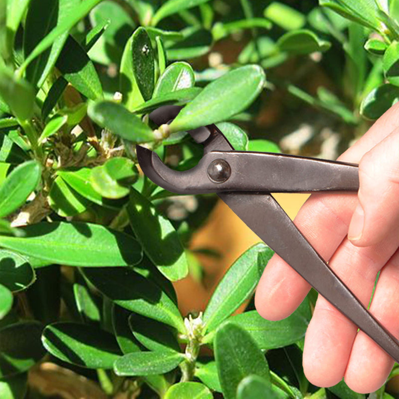 BambooMN Bonsai Basics Set - 8" Concave Cutter, 7" Heavy Duty Shear - 1 Set Concave Cutter & Heavy Duty Shear Set