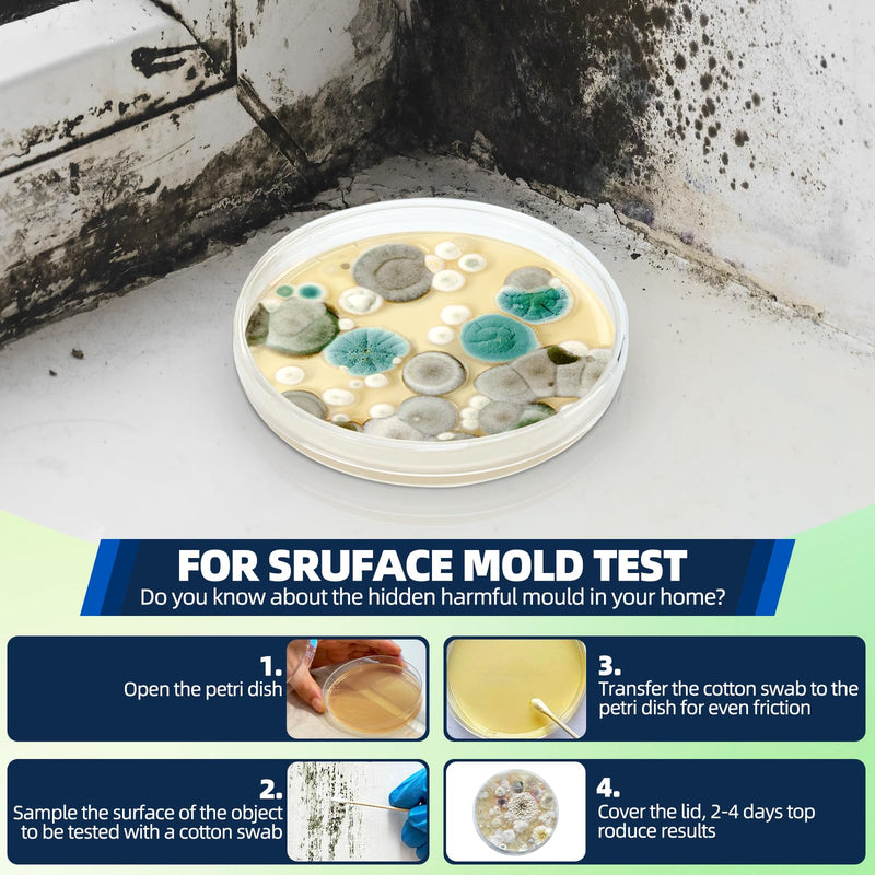 [Australia - AusPower] - Mold Test Kit for Home with 48hrs Results – 6 Rapid DIY Home Tests for Full Home, Air, Surfaces & HVAC Systems | No Lab Wait! Detection Kit (Gloves, Swabs, Bags) 6 Test Plates 