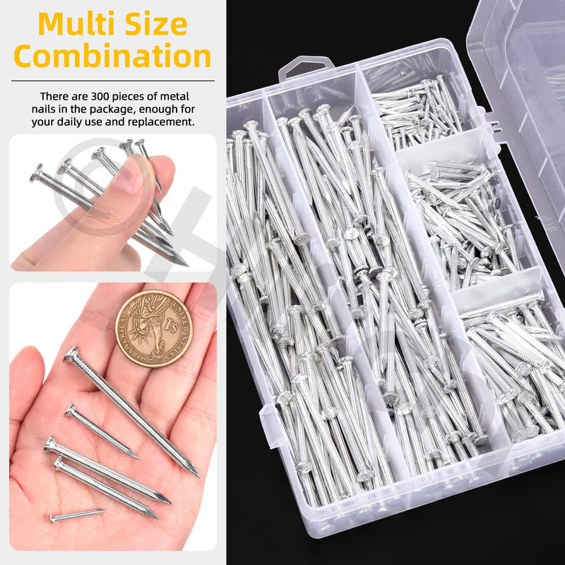 [Australia - AusPower] - Hilitchi 301PCS 5 Sizes Brick Steel Nails Assortment Kit 0.78" 1.2" 1.58" 2" 2.36" Galvanized Concrete Wall Nail Cement Nails for Concrete Brick Drywall(White) White Zinc 