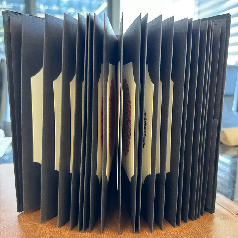 [Australia - AusPower] - Ishihara Test Chart Books for Color Deficiency 38 Plates with User Manual and One Eye Occluder 