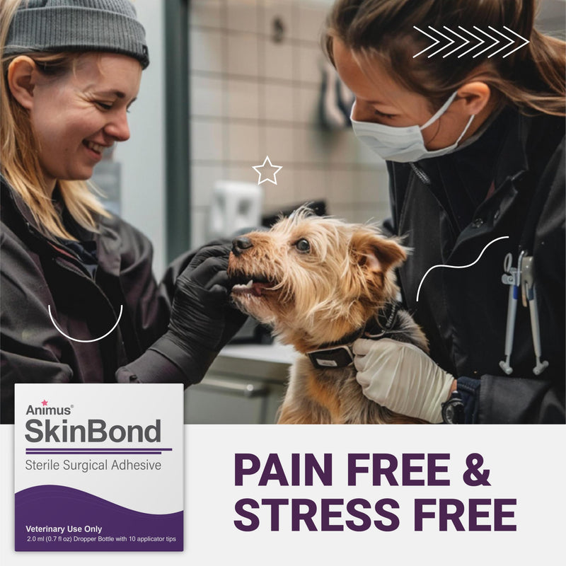 [Australia - AusPower] - Animus SkinBond Animal Skin Glue | Quick-Setting Surgical Glue | Fast-Acting Bleeding Control & Wound Closure | Flexible & Waterproof Wound Sealer | 2ml & 10 Applications - Made in The USA 