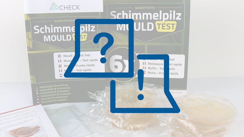 Mold Test Home – Mold Tester for 6 Rooms – Mold Quick Test with a breeding ground for an in the Air | Mold rapid test for estimating the room air 6 pcs. (pack of 1)