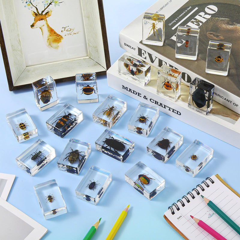 20 Pcs Insect in Resin Bug Preserved Specimen Collection Paperweights Resin Insects Various Insect Specimen for Office Men Women Biology Science Teacher Education Bug Collection Supplies (Insect)