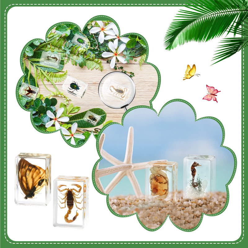 [Australia - AusPower] - 20 Pcs Insect in Resin Bug Preserved Specimen Collection Paperweights Resin Insects Various Insect Specimen for Office Men Women Biology Science Teacher Education Bug Collection Supplies (Butterfly) Butterfly 