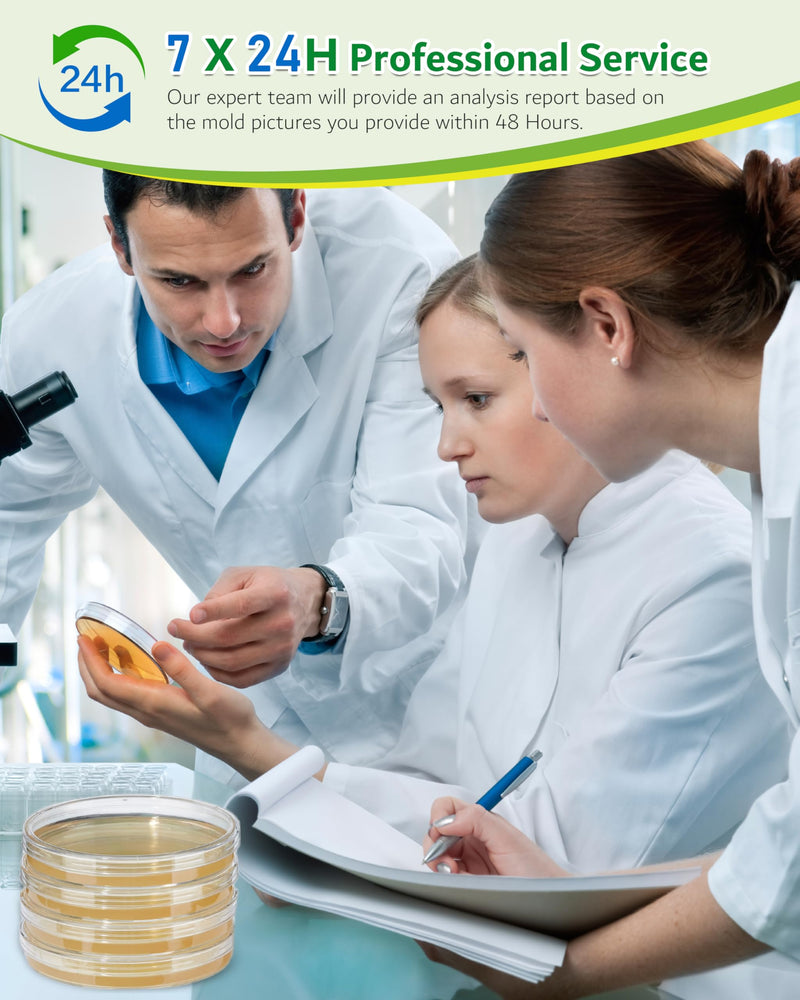 [Australia - AusPower] - Mold Test Kit for Home, 4 Detection Tests for HVAC, Surfaces & Indoor Air Quality, DIY Black Home Mold Detector Testing kit, Identification Guide & Free Lab Analysis Included 