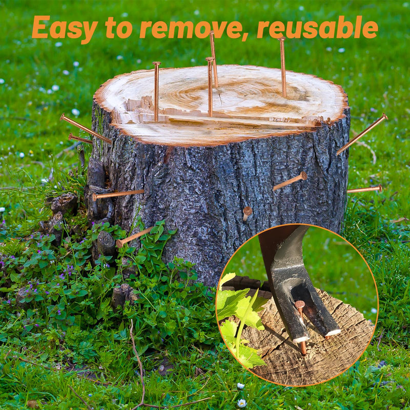 [Australia - AusPower] - Pack 10 Copper Nails for Killing Trees Stump Root, 3.14" Copper Nails with Drill, Stump Removal Spikes Hardware Nails for Trees 3.14 " -10PCS 