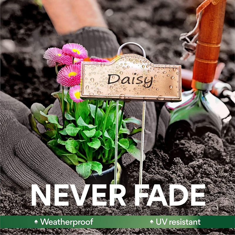 Stainless Steel 304 Plant Labels Weatherproof, Metal Garden Label Tall Markers 25 Pack for Plants Vegetables Herb Seedlings Flowers with 2 Pens, Height 10.75 Inch, Label Area 3.74'' x 1.39'' Gold