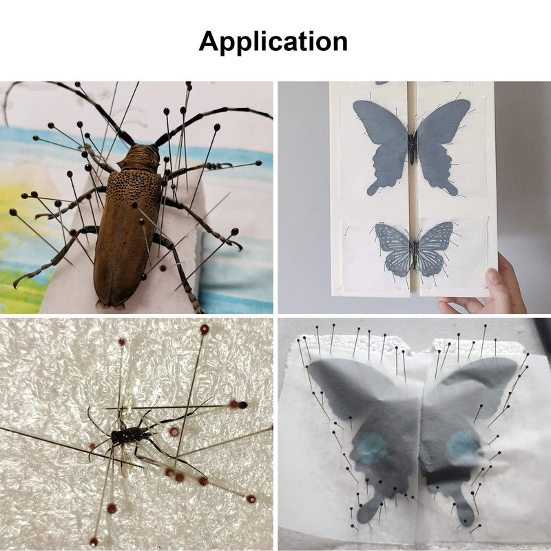 [Australia - AusPower] - OIIKI 300Pcs Stainless Steel Insect Pins, Sizes # 1 2 3 Pin Tools with Safe Hard-Plastic Storage Case for School Lab Entomology Dissection Butterflies, Dragonfly Collections (Each Size 100 Pieces) 