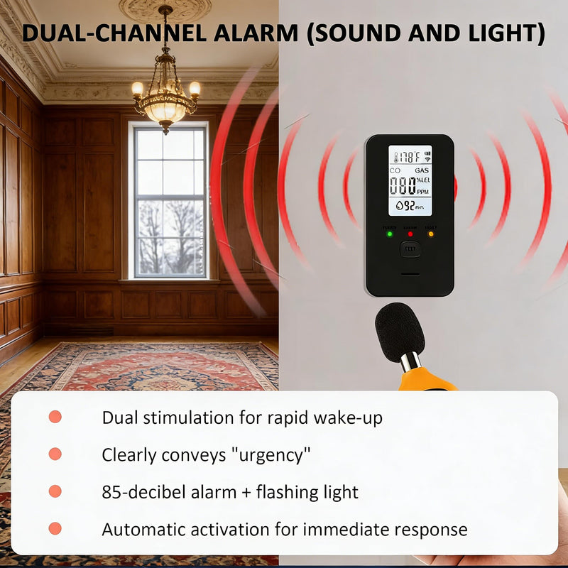 Steadfast to Haven 4-in-1 Detector with HD Screen, Home, Apartment, Hotel, Camping RV (Black)