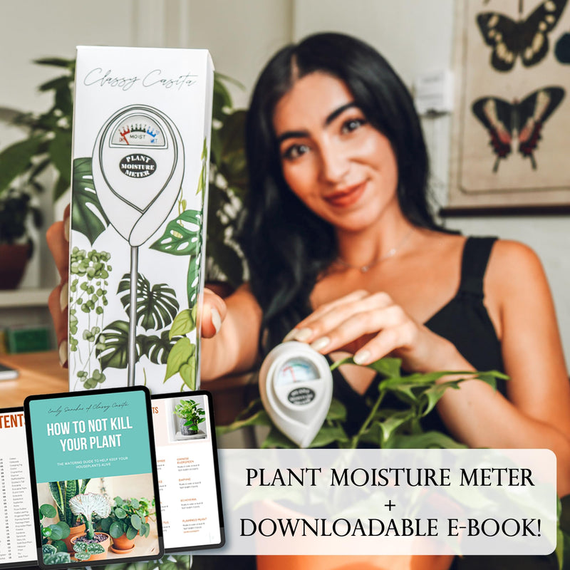 Classy Casita 3-in-1 Garden Soil Tester- Three Way Plant Soil Test Kit to Measure Soil Moisture, pH-Value, and Sunlight Soil Moisture Meter w/Plant Watering & Care eBook, White