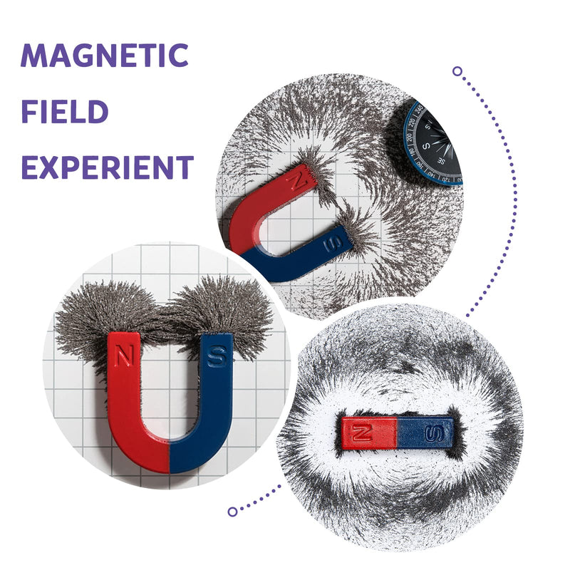 [Australia - AusPower] - DAILYLIFE Iron Powder Iron Filings for Science Experiments, 1 Pound (16 Ounces) Magnetic Sand with 4 Magnets for Magnetic Field School Project, Metal Shavings Iron Oxide Powder Children Toys 