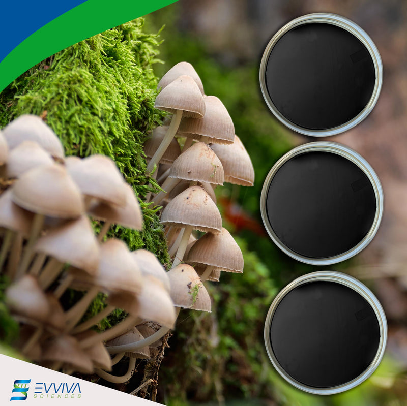 ES EVVIVA SCIENCES Pre-Poured Black Malt Extract Agar Plates – Includes Both Black Dye & Charcoal for Enhanced Culture Visualization - Excellent Growth Medium - Great for Mushrooms & Science Projects