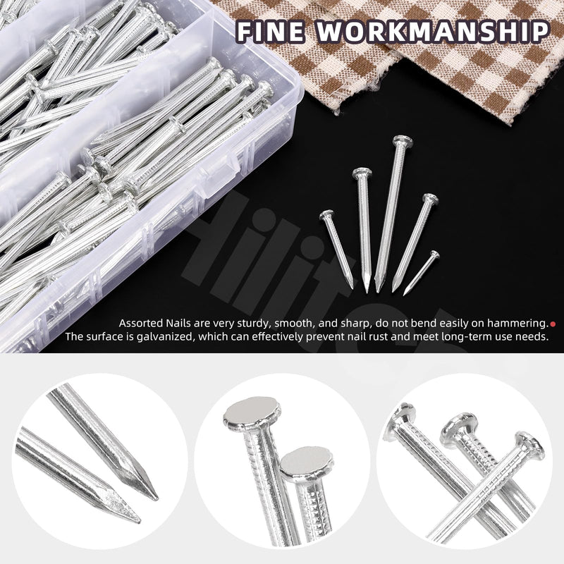 [Australia - AusPower] - Hilitchi 301PCS 5 Sizes Brick Steel Nails Assortment Kit 0.78" 1.2" 1.58" 2" 2.36" Galvanized Concrete Wall Nail Cement Nails for Concrete Brick Drywall(White) White Zinc 