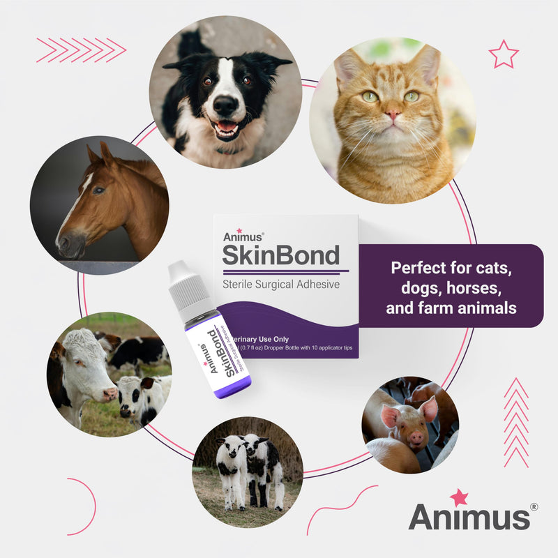 [Australia - AusPower] - Animus SkinBond Animal Skin Glue | Quick-Setting Surgical Glue | Fast-Acting Bleeding Control & Wound Closure | Flexible & Waterproof Wound Sealer | 2ml & 10 Applications - Made in The USA 