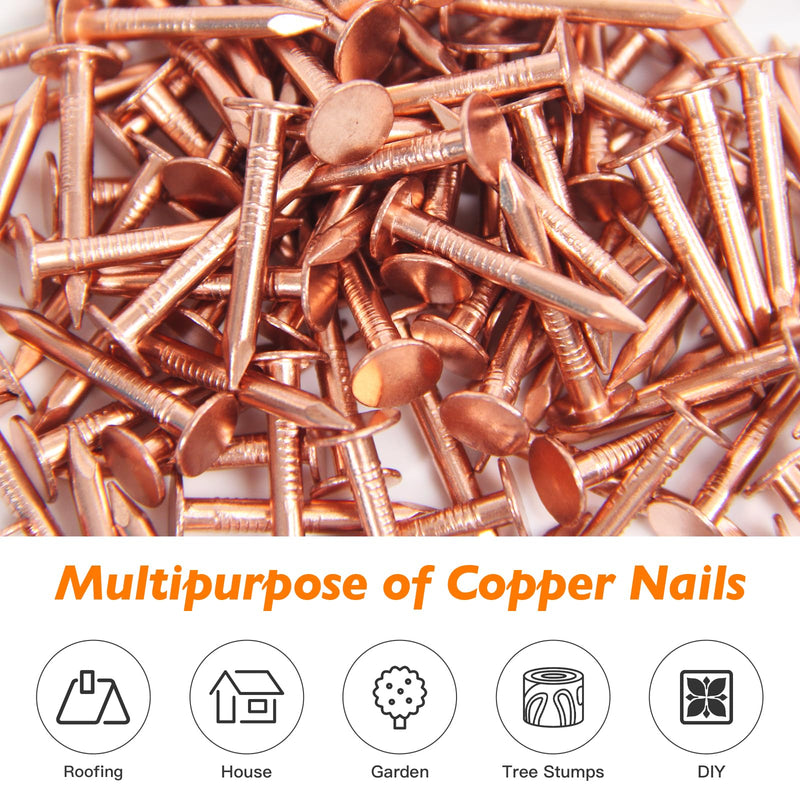 [Australia - AusPower] - Copper Nails – 1 Inch Roofing Nails 110pcs – 99.95% Pure Copper Nails for Roof, Copper Flashing, Tree, Stump Remover, Roots, Landscaping & Crafts 1" Copper Nails, 110pcs 