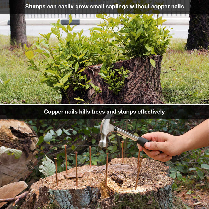 [Australia - AusPower] - Frienda 20 Pack 3.5 Inch Copper Nails Nail Spikes for Killing Tree, Long Stump Removal Spikes with 2 Pieces Large Steel Nails, Included Storage Box 