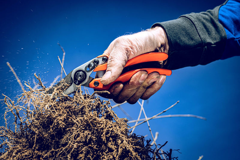 Original LÖWE Profi Bypass Pruner Garden Tools 11.107 | Light & Sharp Tree Pruner | Use As Garden Shears, Handheld, Pruning Shears for Gardening | For flowers, twigs & fruit trees | Made in Germany Ergonomic handle