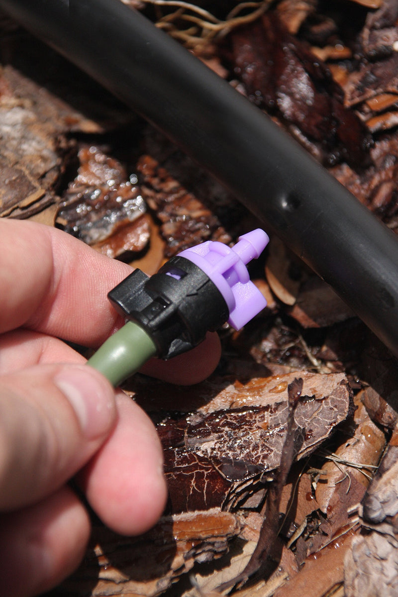 [Australia - AusPower] - Mister Landscaper 10 GPH Violet Flow Controller 