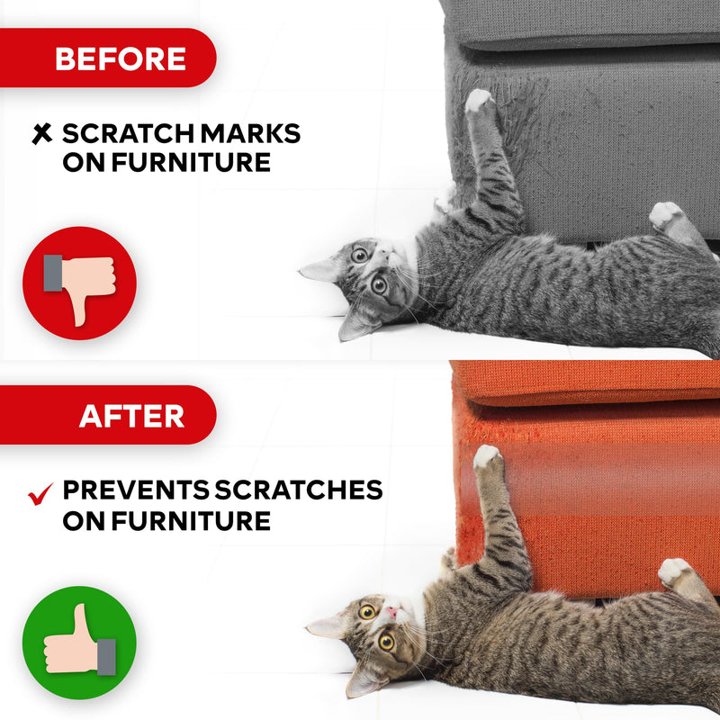 XFasten Anti-Scratch Cat Training Tape, Clear, 2.5-Inches x 15 Yards (Single Roll), Door, Couch, Furniture and Leather Scratch Guard Protector Tape for Cats and Pets Single Roll