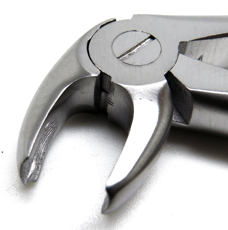 [Australia - AusPower] - Dental Mead Forceps MD4 Molar Tooth Extracting Surgical Extraction Instrument 