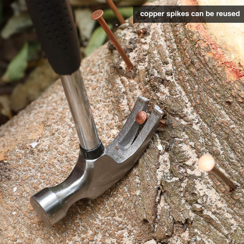 [Australia - AusPower] - Frienda 20 Pack 3.5 Inch Copper Nails Nail Spikes for Killing Tree, Long Stump Removal Spikes with 2 Pieces Large Steel Nails, Included Storage Box 