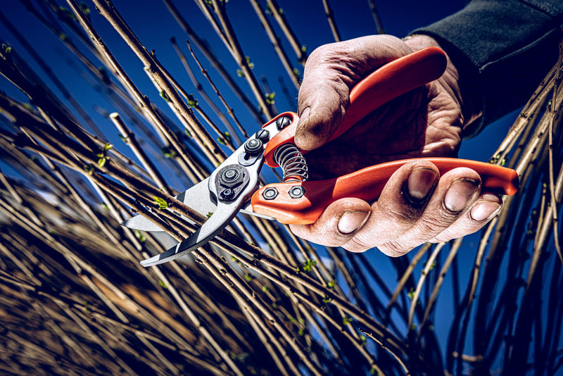 Original LÖWE Profi Bypass Pruner Garden Tools 11.107 | Light & Sharp Tree Pruner | Use As Garden Shears, Handheld, Pruning Shears for Gardening | For flowers, twigs & fruit trees | Made in Germany Ergonomic handle
