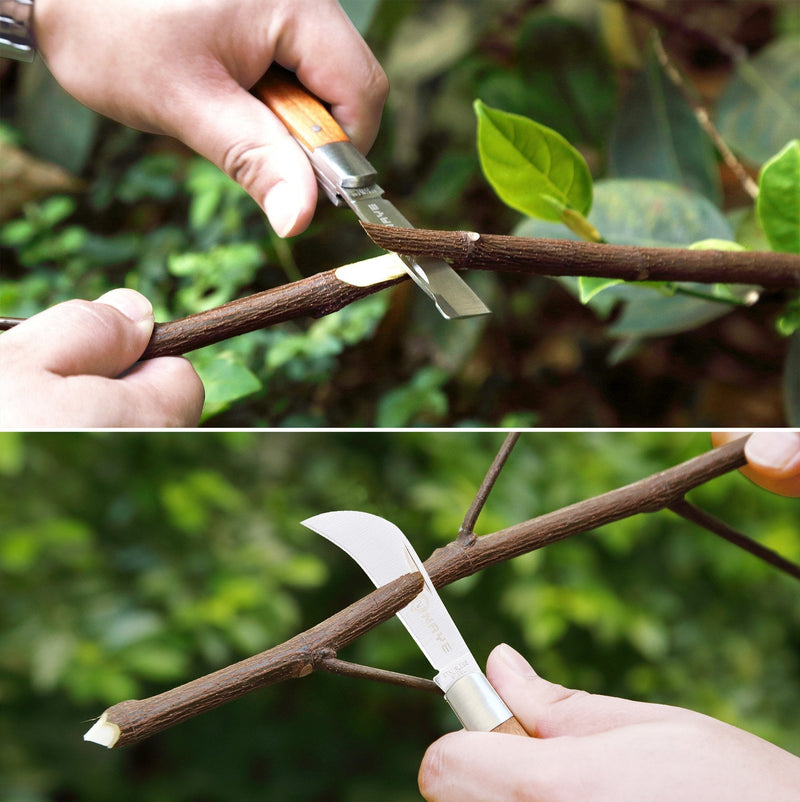 [6 Blades Enhanced] NAYE 2 in 1 Garden Grafting Tool Kit for Fruit Trees with Grafting Knife Grafting Tapes,Extra Replacement Blades Included,Professional Grafting Scissor Shear Japanese