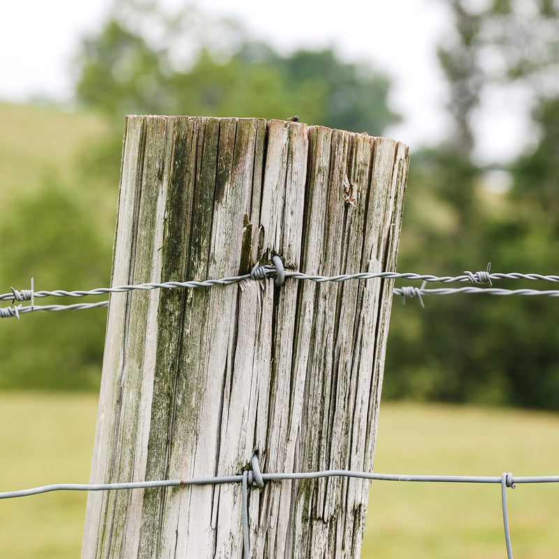 [Australia - AusPower] - Bates- Fence Staples, 200 pcs, 1", Galvanized Steel Fencing Staples, U Shaped Nails for Wood, U Nails for Wood, Fence Nails, Wire Fence Staples for Wire Fencing, U Nails for Fencing Nails 