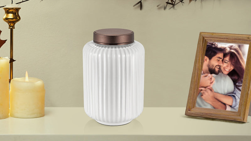 SOITIS Small Urns for Human Ashes 4.5 Inch Sharing Ceramic Urn for Ashes Mini Urns for Human Ashes Keepsake Urn for Human Ashes Funeral Memorial Holder White Urn for Women Men